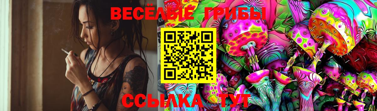 купить наркотики сайты  Псилоцибиновые грибы Psilocybe  Вход с VPN  Ярцево 